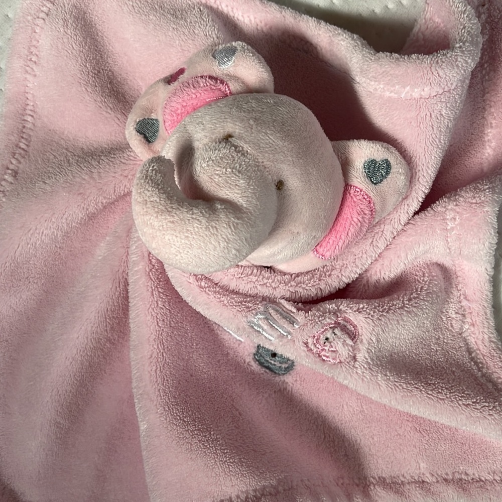 Baby Girls Security Blanket